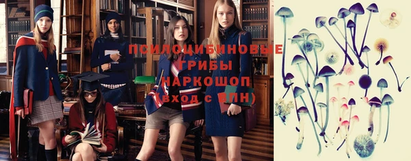 марки lsd Аша
