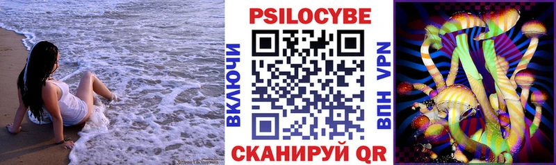 Галлюциногенные грибы Psilocybine cubensis  Новотитаровская 